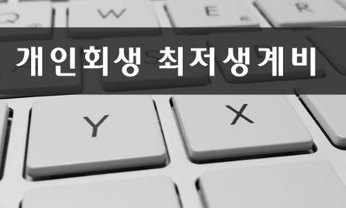 개인회생 최저생계비