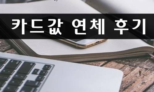 카드값 연체 후기