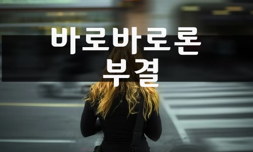 바로바로론 부결