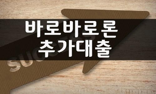 바로바로론 추가대출