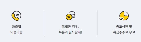 국민카드 장기카드대출