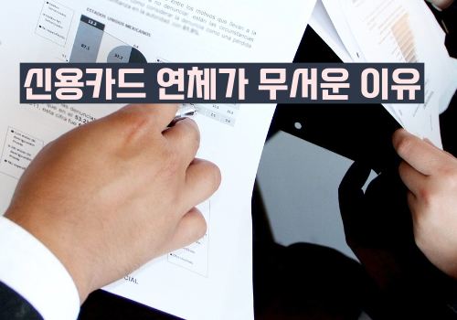 신용카드 연체 5일